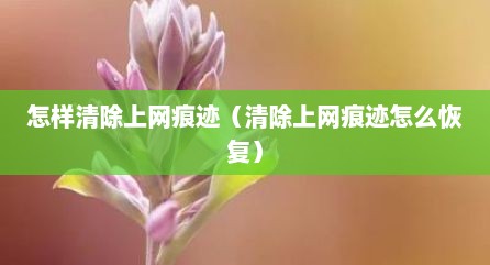 怎样清除上网痕迹（清除上网痕迹怎么恢复）