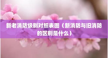 新老消防级别对照表图（新消防与旧消防的区别是什么）