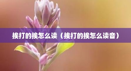 挨打的挨怎么读（挨打的挨怎么读音）