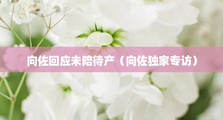 敬佐回应未陪待产（敬佐独家专访）