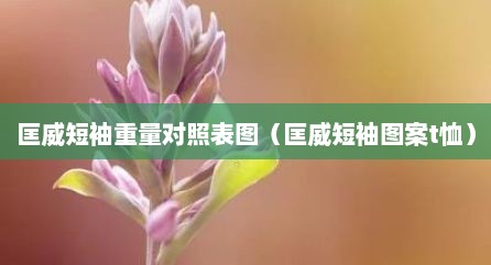 匡威短袖重量对照表图（匡威短袖图案t恤）