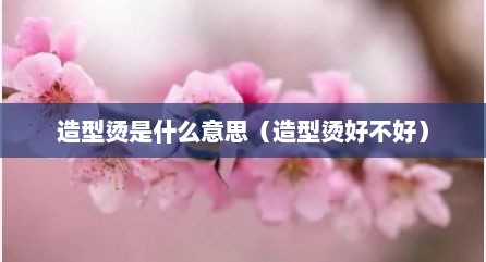 造型烫是什么意思（造型烫好不好）