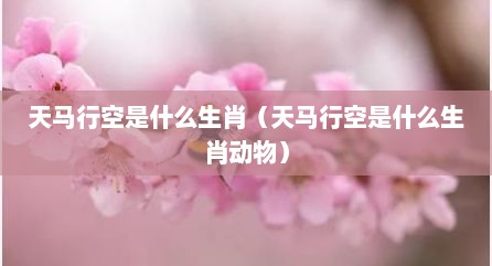 天马行空是什么生肖（天马行空是什么生肖动物）