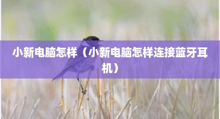 小新电脑怎样（小新电脑怎样连接蓝牙耳机）