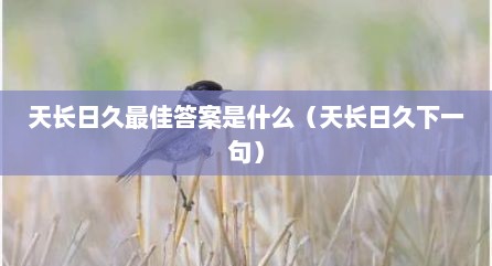 天长日久最佳答案是什么（天长日久下一句）