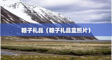 粽子礼品（粽子礼品盒照片）