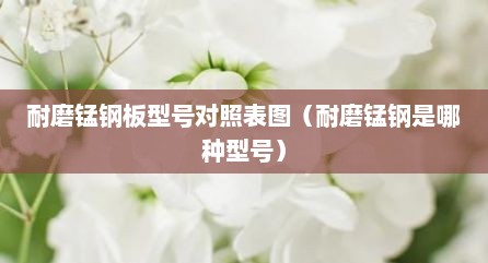 耐磨锰钢板型号对照表图（耐磨锰钢是哪种型号）