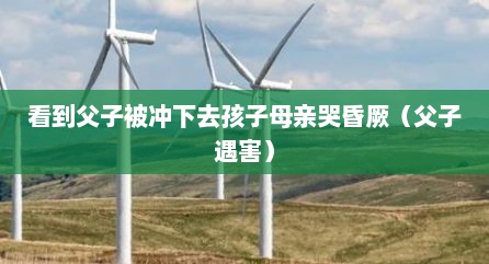 看到父子被冲下去孩子母亲哭昏厥（父子遇害）
