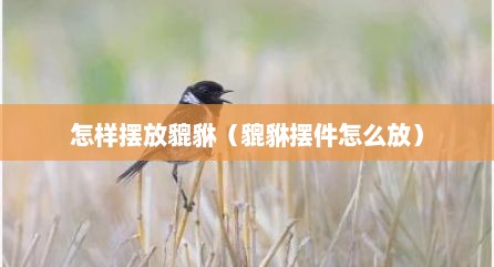 怎样摆放貔貅（貔貅摆件怎么放）