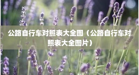 公路自行车对照表大全图（公路自行车对照表大全图片）