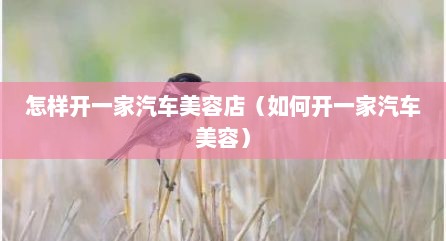 怎样开一家汽车美容店（如何开一家汽车美容）