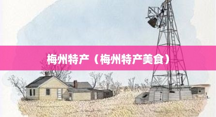 梅州特产（梅州特产美食）