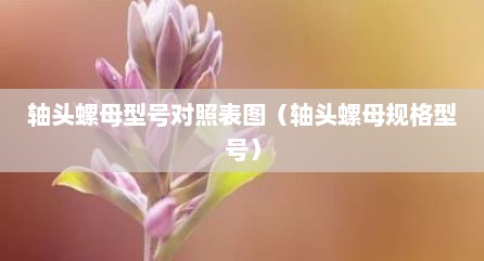 轴头螺母型号对照表图（轴头螺母规格型号）