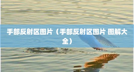 手部反射区图片（手部反射区图片 图解大全）