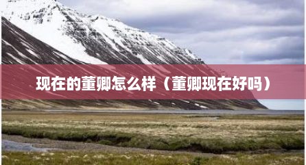 现在的董卿怎么样（董卿现在好吗）