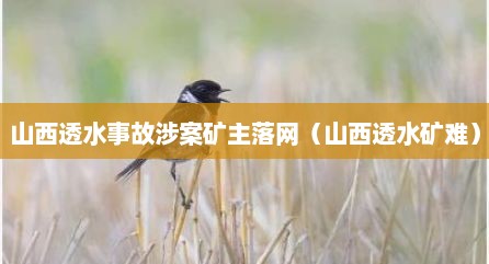 山西透水事故涉案矿主落网（山西透水矿难）