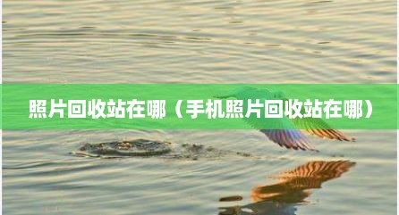 照片回收站在哪（手机照片回收站在哪）