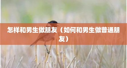 怎样和男生做朋友（如何和男生做普通朋友）