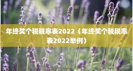 年终奖个税税率表2022（年终奖个税税率表2022举例）