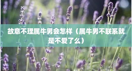 故意不理属牛男会怎样（属牛男不联系就是不爱了么）