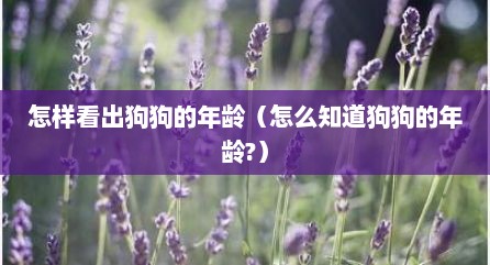 怎样看出狗狗的年龄（怎么知道狗狗的年龄?）