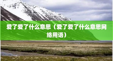 爱了爱了什么意思（爱了爱了什么意思网络用语）