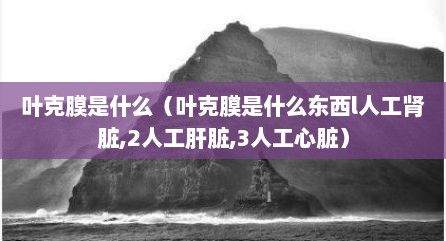 叶克膜是什么（叶克膜是什么东西l人工肾脏,2人工肝脏,3人工心脏）