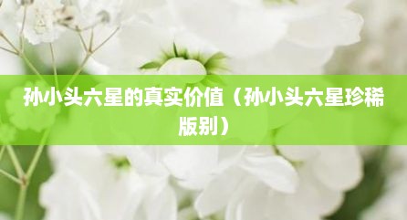 孙小头六星的真实价值（孙小头六星珍稀版别）