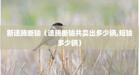 新速腾断轴（速腾断轴共卖出多少辆,短轴多少辆）