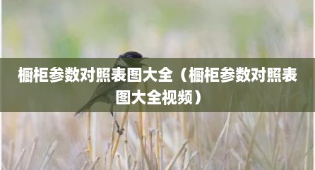 橱柜参数对照表图大全（橱柜参数对照表图大全视频）