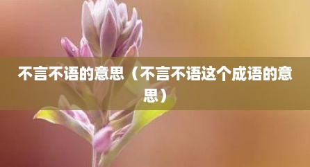 不言不语的意思（不言不语这个成语的意思）