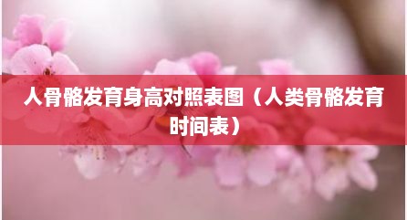 人骨骼发育身高对照表图（人类骨骼发育时间表）