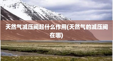 天然气减压阀起什么作用(天然气的减压阀在哪)