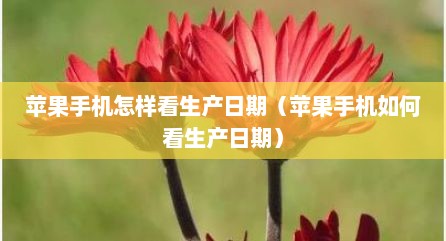 苹果手机怎样看生产日期（苹果手机如何看生产日期）
