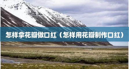 怎样拿花瓣做口红（怎样用花瓣制作口红）