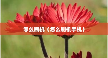 怎么刷机（怎么刷机手机）