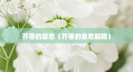 芥蒂的意思（芥蒂的意思解释）