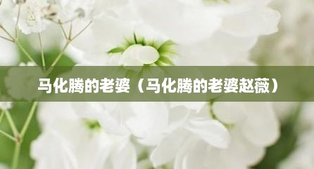 马化腾的老婆（马化腾的老婆赵薇）