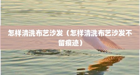 怎样清洗布艺沙发（怎样清洗布艺沙发不留痕迹）
