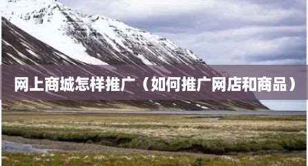 网上商城怎样推广（如何推广网店和商品）