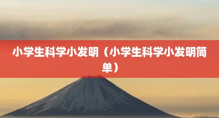 小学生科学小发明（小学生科学小发明简单）