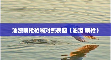 油漆喷枪枪嘴对照表图（油漆 喷枪）