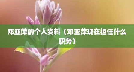 邓亚萍的个人资料（邓亚萍现在担任什么职务）