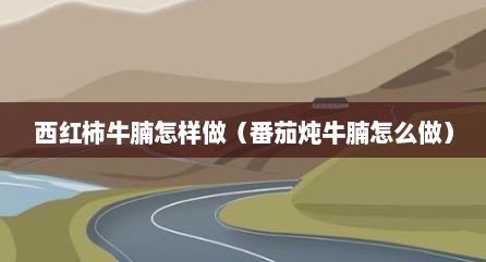 西红柿牛腩怎样做（番茄炖牛腩怎么做）