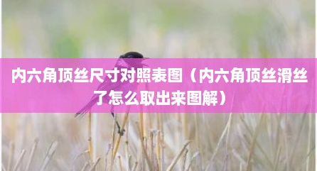 内六角顶丝尺寸对照表图（内六角顶丝滑丝了怎么取出来图解）