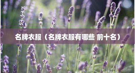 名牌衣服（名牌衣服有哪些 前十名）