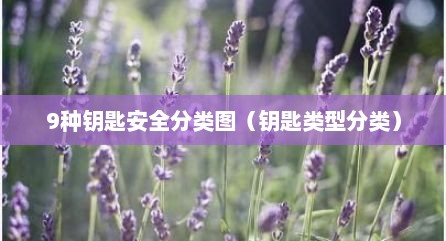 9种钥匙安全分类图（钥匙类型分类）