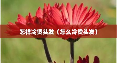 怎样冷烫头发（怎么冷烫头发）