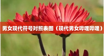 男女现代符号对照表图（现代男女哔哩哔哩）
