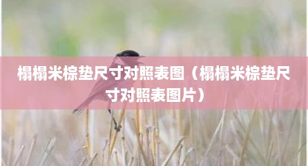 榻榻米棕垫尺寸对照表图（榻榻米棕垫尺寸对照表图片）